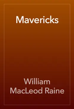 mavericks book cover image
