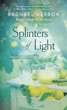 splinters of light book cover image