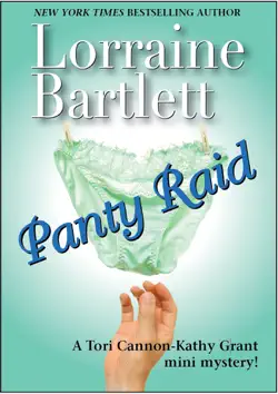 panty raid book cover image