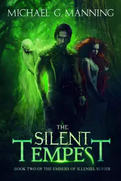 the silent tempest book cover image
