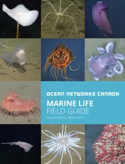 marine life field guide book cover image