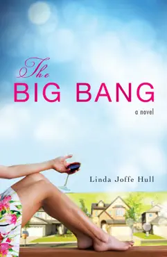 the big bang book cover image