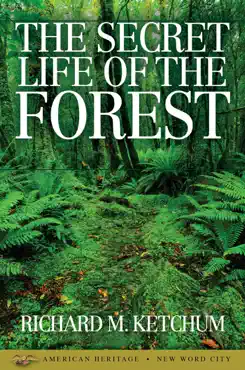 the secret life of the forest book cover image