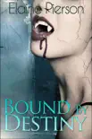 Bound by Destiny synopsis, comments