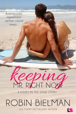 keeping mr. right now book cover image