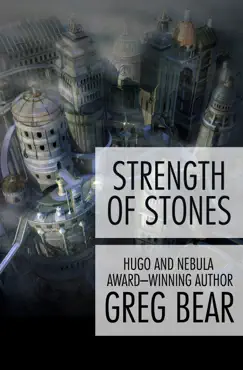 strength of stones book cover image