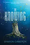 The Knowing synopsis, comments