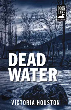 dead water book cover image