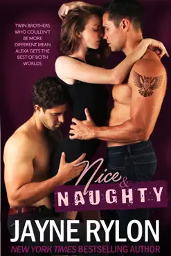 nice and naughty book cover image