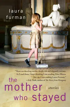 the mother who stayed book cover image
