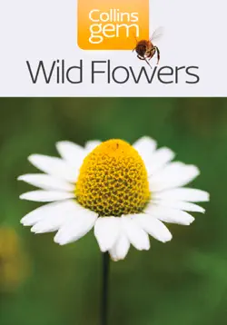 wild flowers book cover image