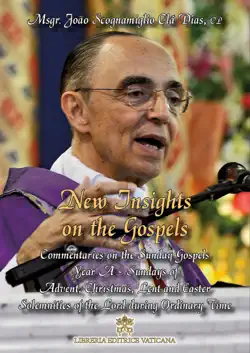 new insights on the gospels - volume i book cover image