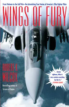 wings of fury book cover image