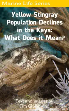 yellow stingray population declines in the keys: what does it mean? book cover image