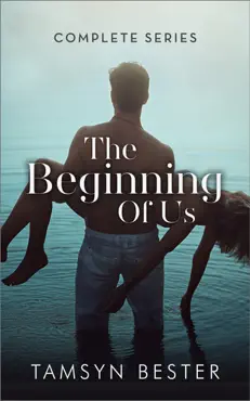 the beginning of us - complete series book cover image