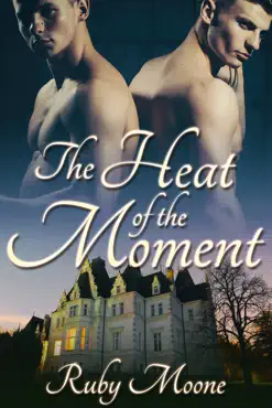 the heat of the moment book cover image