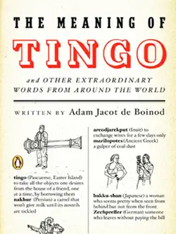 the meaning of tingo book cover image