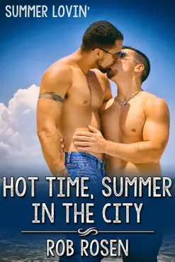 hot time, summer in the city book cover image