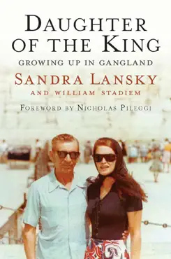 daughter of the king book cover image