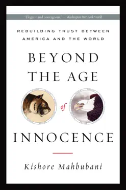 beyond the age of innocence book cover image