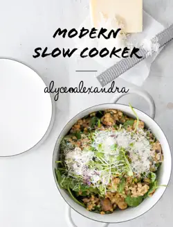 modern slow cooker book cover image