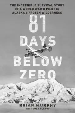 81 days below zero book cover image