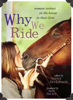 why we ride book cover image