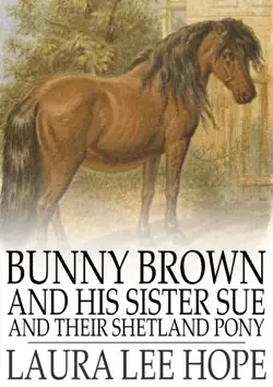 bunny brown and his sister sue and their shetland pony book cover image