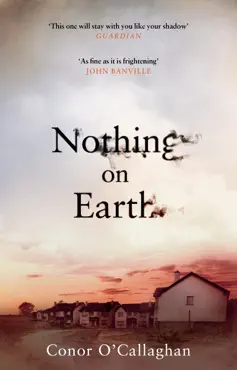 nothing on earth book cover image