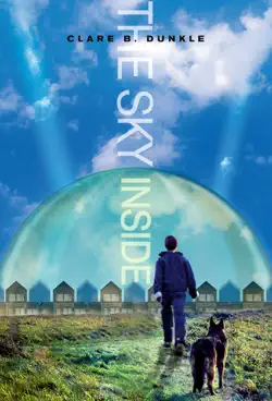 the sky inside book cover image