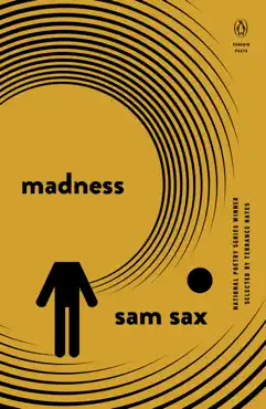 madness book cover image