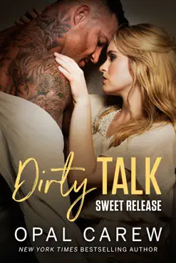 dirty talk, sweet release book cover image
