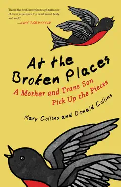 at the broken places book cover image