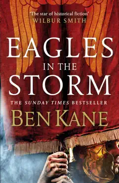 eagles in the storm book cover image