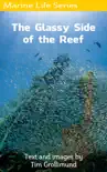 The Glassy Side of the Reef synopsis, comments