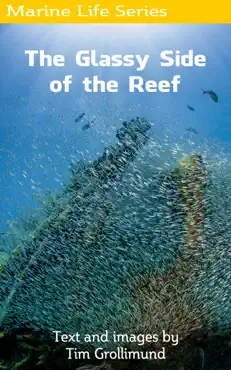 the glassy side of the reef book cover image