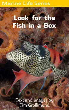 look for the fish in a box book cover image