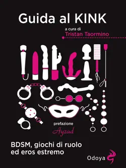 guida al kink book cover image