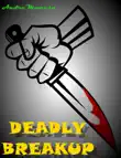 Deadly Breakup synopsis, comments