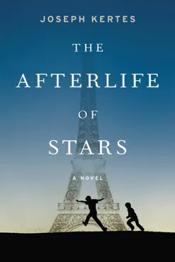 the afterlife of stars book cover image