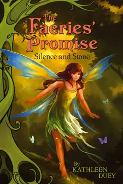 silence and stone book cover image
