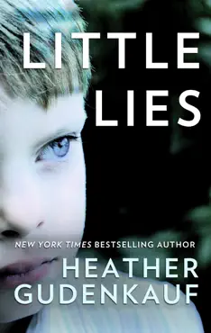 little lies book cover image