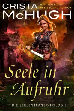 seele in aufruhr book cover image