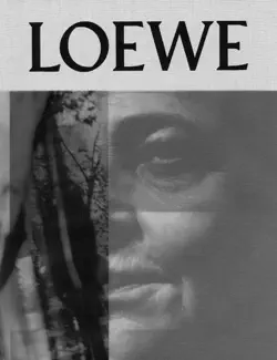 loewe publication no.12 book cover image