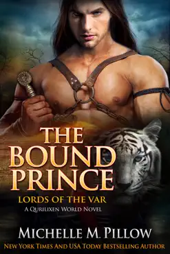 the bound prince book cover image