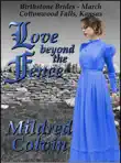 Love beyond the Fence synopsis, comments
