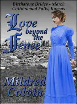 love beyond the fence book cover image