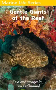goliath grouper... gentle giants of the reef book cover image