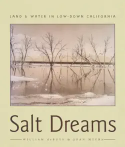 salt dreams book cover image