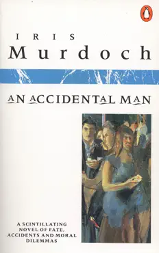 an accidental man book cover image